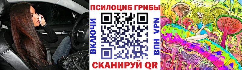 МЕГА как войти  купить   нарко площадка формула  Псилоцибиновые грибы Psilocybine cubensis  Санкт-Петербург 